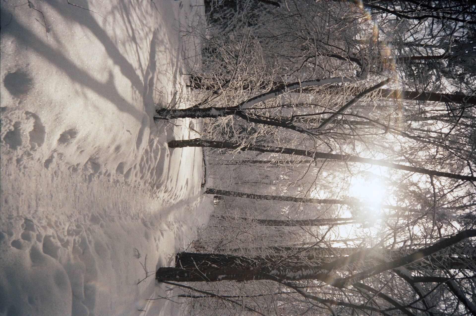 Thu, 16 Feb 2021 14:04:39 +0700