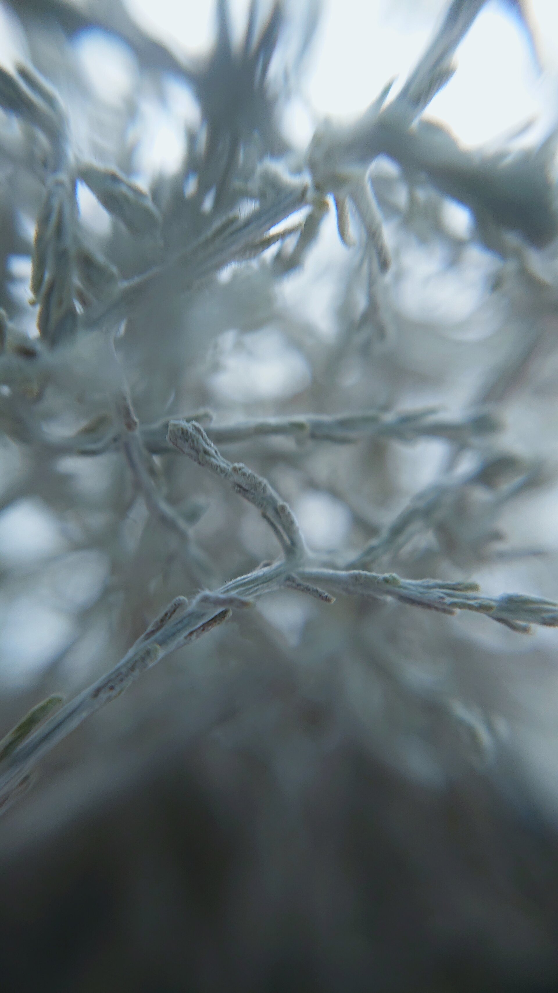 Thu, 25 Jan 2022 14:05:24 +0700