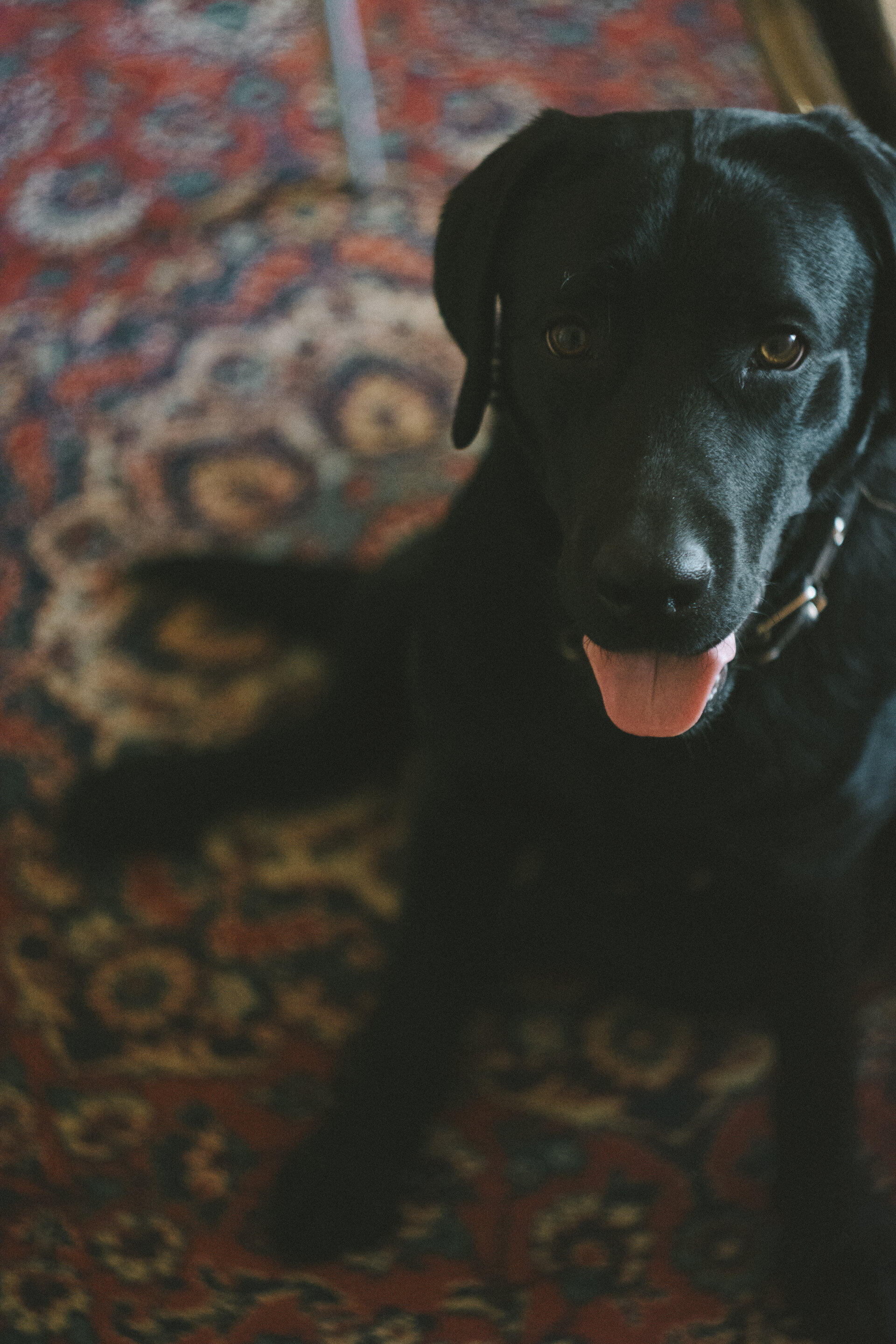 Thu, 30 Jan 2016 15:29:22 +0700