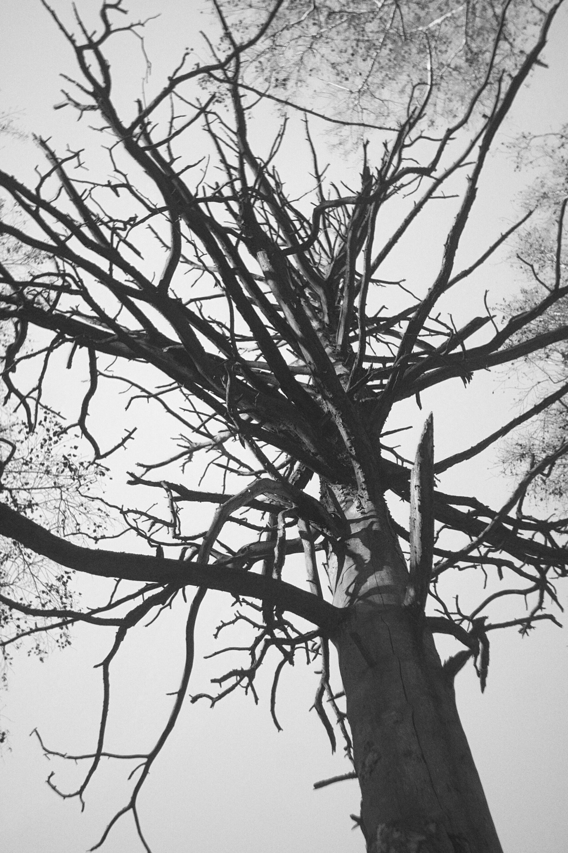 Sat, 25 Oct 2025 12:54:24 +0700